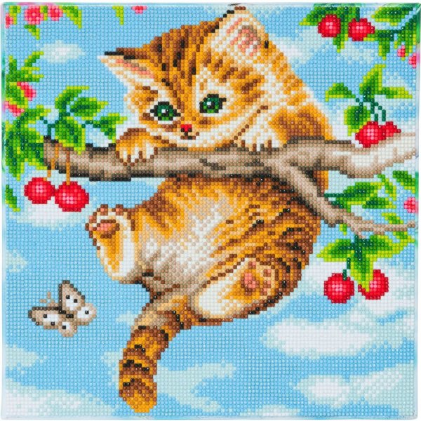 Kit Broderie Diamant Chaton Crystal Art 30x30cm