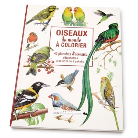 OISEAUX DU MONDE A COLORIER