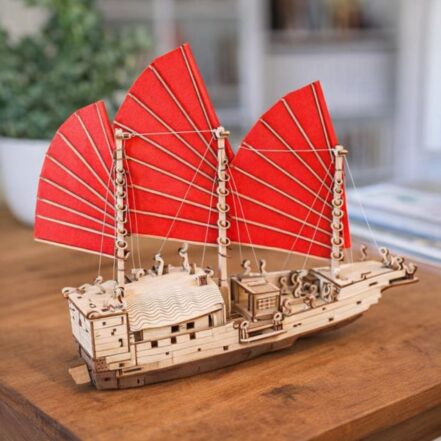 Bateau Djong
