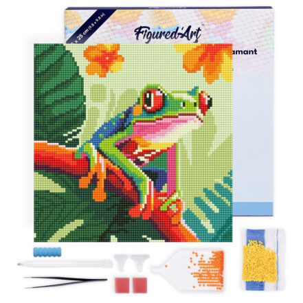 Mini Diamond Painting 25x25cm avec cadre - Rainette Tropicale aux Yeux Rouges