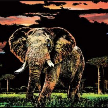 Peinture à gratter - Éléphant