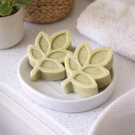 KIT DIY SAVON A LA FEUILLE DE MORINGA