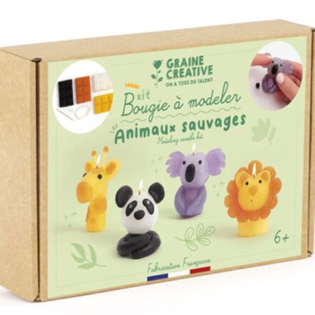 Kit DIY bougies animaux sauvages à modeler facile